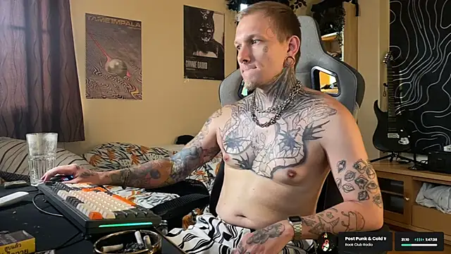 הופעת וובקאם של paulvelvet