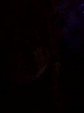 LonesomeMegawatt Webcam Show