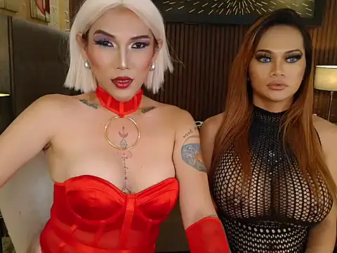 PrettyHorseCockTrans 在線直播表演