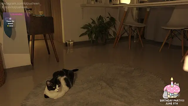 Živý XXX chat JulietteDee