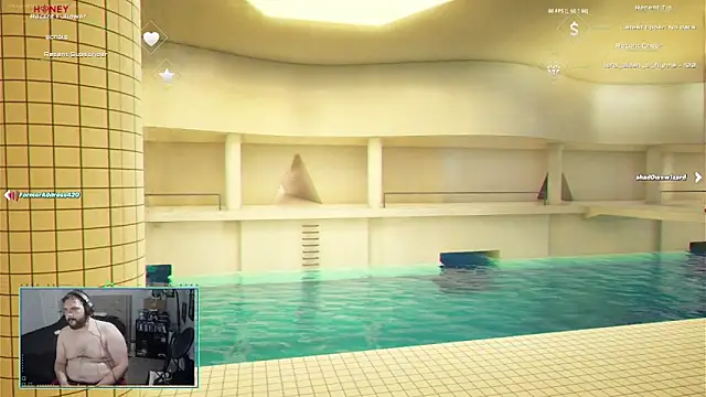 Show Webcam de bottombeargaming