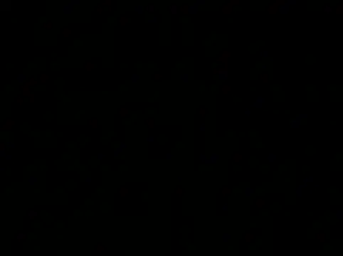 Gingeriginal Webcam-Show
