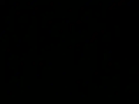 Gingeriginal Webcam Show