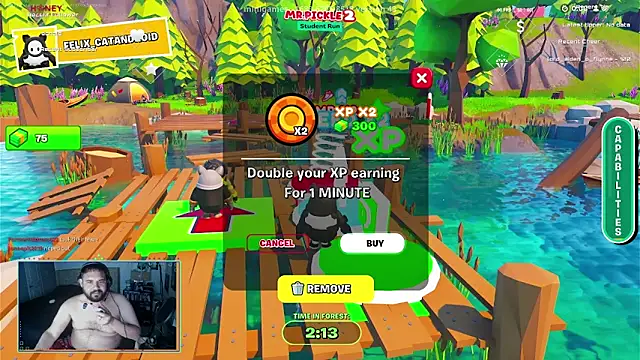 Show webcam de bottombeargaming