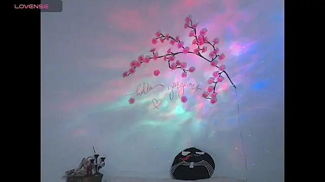 צ'אט XXX בשידור חי של sweet_molly420
