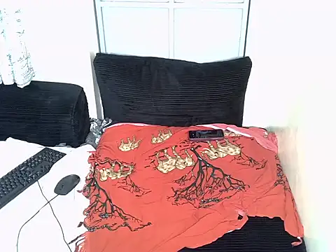 haithamtitann Webbikameraesitys