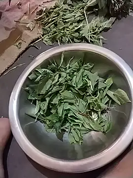 درد شة Lakhsmi الجنسية المباشرة