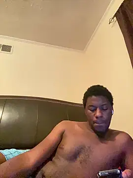 Show webcam de ThickDic28