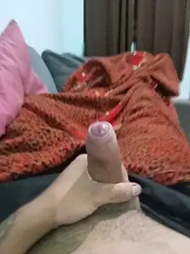 عرض كام Wendergrau