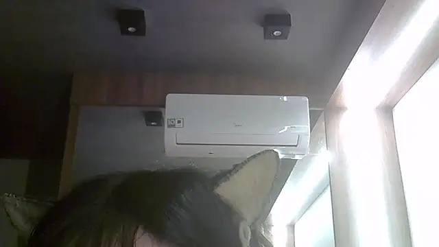 Show de webcam de SkinnyKitten