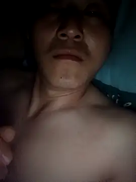 wadmma 网络视讯表演