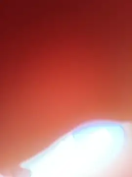 Funcouple0069 élő XXX-chatje