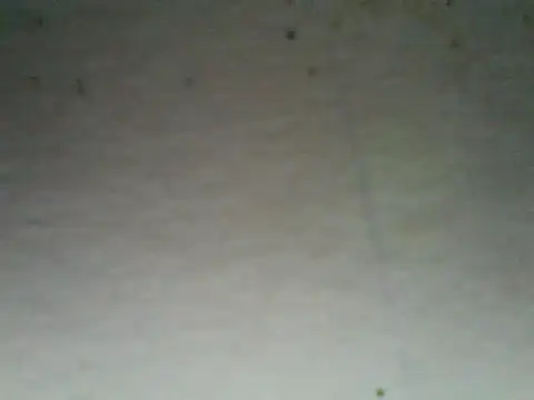 afayeyena live XXX chat