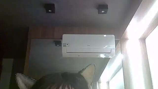 Show de webcam de SkinnyKitten