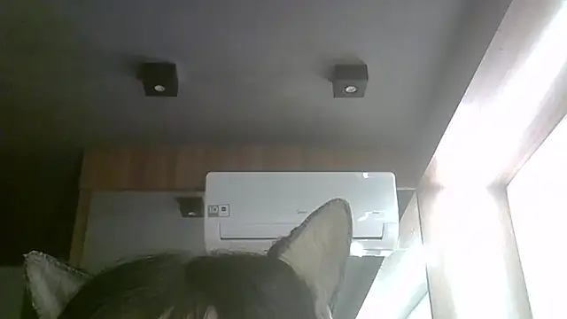 Show de SkinnyKitten na webcam