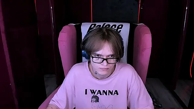 Stephen_Holtn Webbikameraesitys
