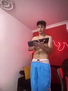 LoganSteel_n Webbikameraesitys
