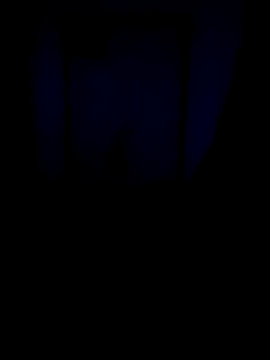 AlphaPremiereのウェブカメラショー