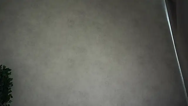 MonetLeitmann Webbikameraesitys