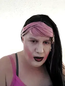 Show webcam de SSeekcd420333