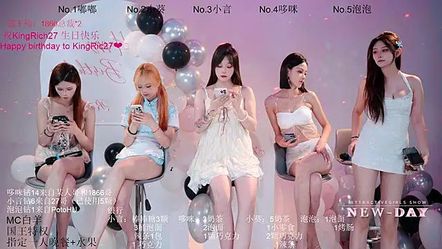 NEW-DAYのウェブカメラショー
