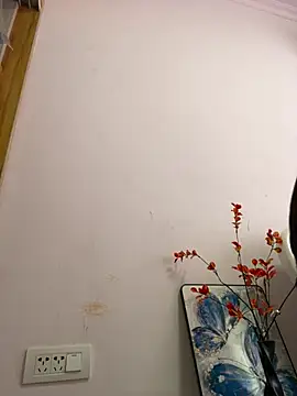 mm47865 即時 XXX 聊天