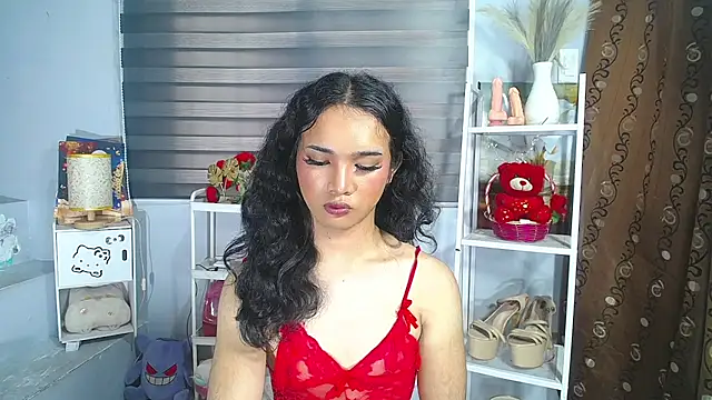 MaterialDuoTransxxx Show in webcam