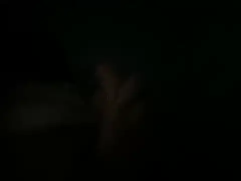 EderLove69: вебкам-шоу