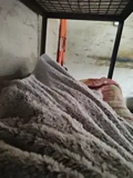 Buffalobuddy webkamerás műsora