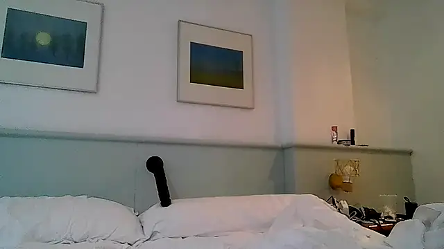 TommyandTomara Show Webcam