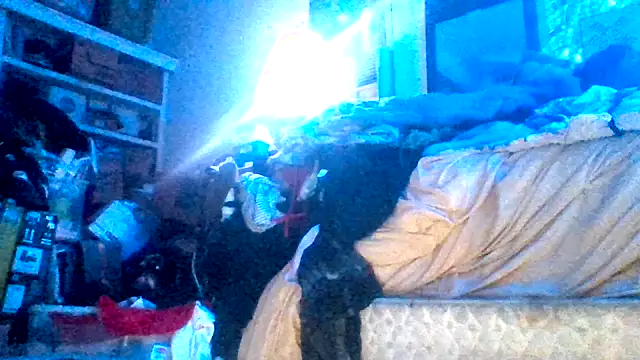 Ambionce's Webcam Show