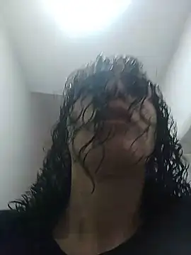 Show webcam de deftoolceles