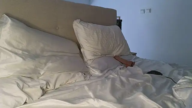 RyanStorm_n Webbikameraesitys