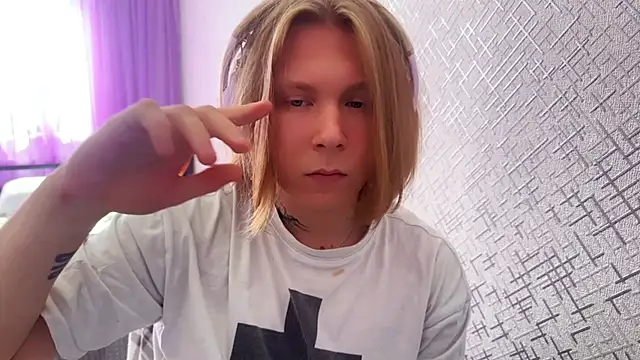 Hirtayn Webbikameraesitys