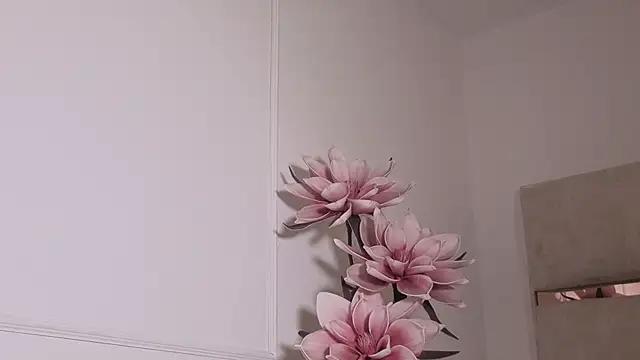 zoevg 即時 XXX 聊天