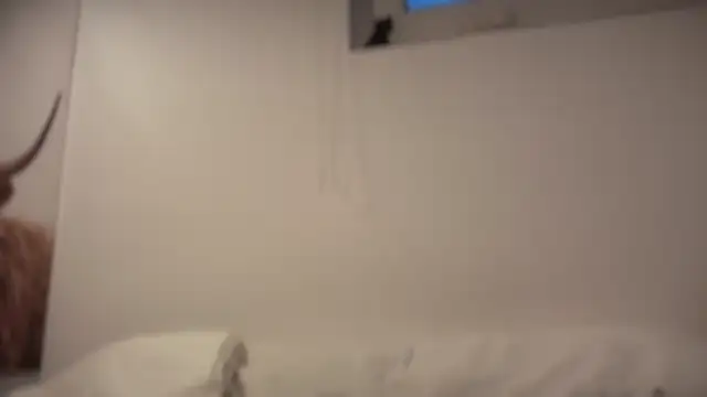 Show webcam de hallihallo12343