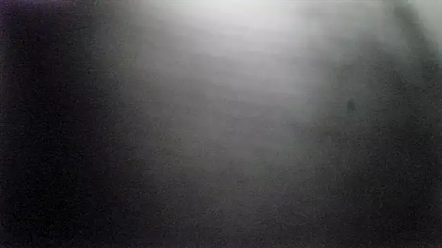 Tiggitytomociti: вебкам-шоу