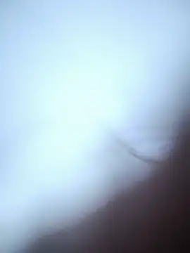 عرض كام TootedFreezing