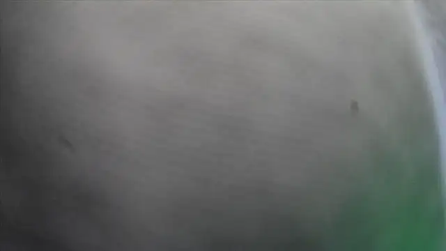 Tiggitytomocitin Live XXX chat
