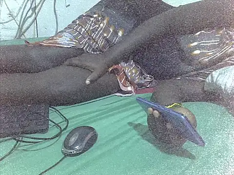 Creamygal3 Webcam show