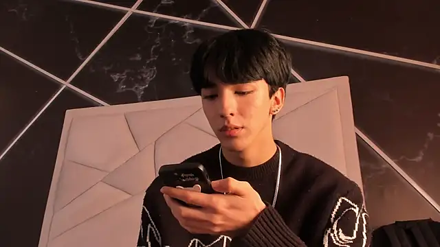Show webcam de AerumChae