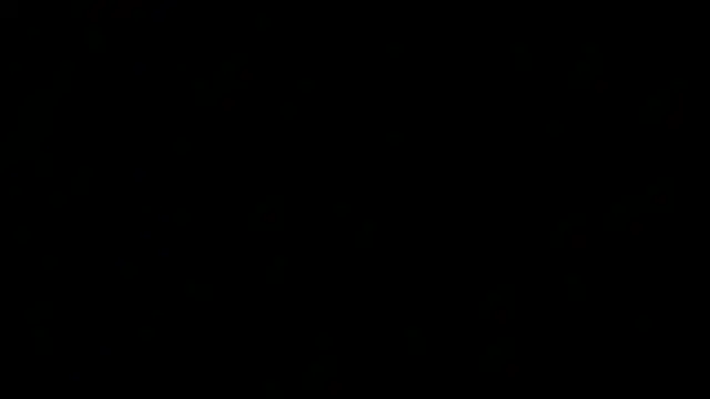 Kratos_madrid 网络视讯表演