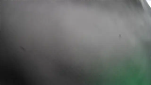 Tiggitytomociti Live XXX-Chat