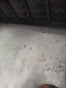 rayhot69n Webbikameraesitys