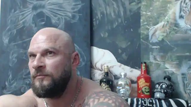 عرض كام viking_30