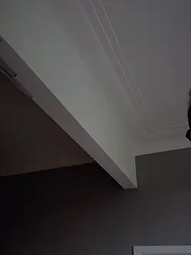 Woze webkamerás műsora