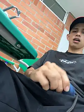 Show Webcam de HarryGaze