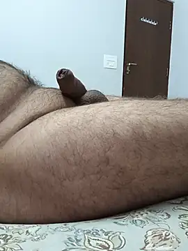 Desiandajのウェブカメラショー
