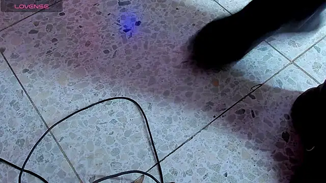 Онлайн чат XXX steffanxxll