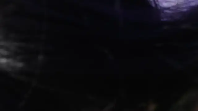 onixandghosty1 在線直播表演